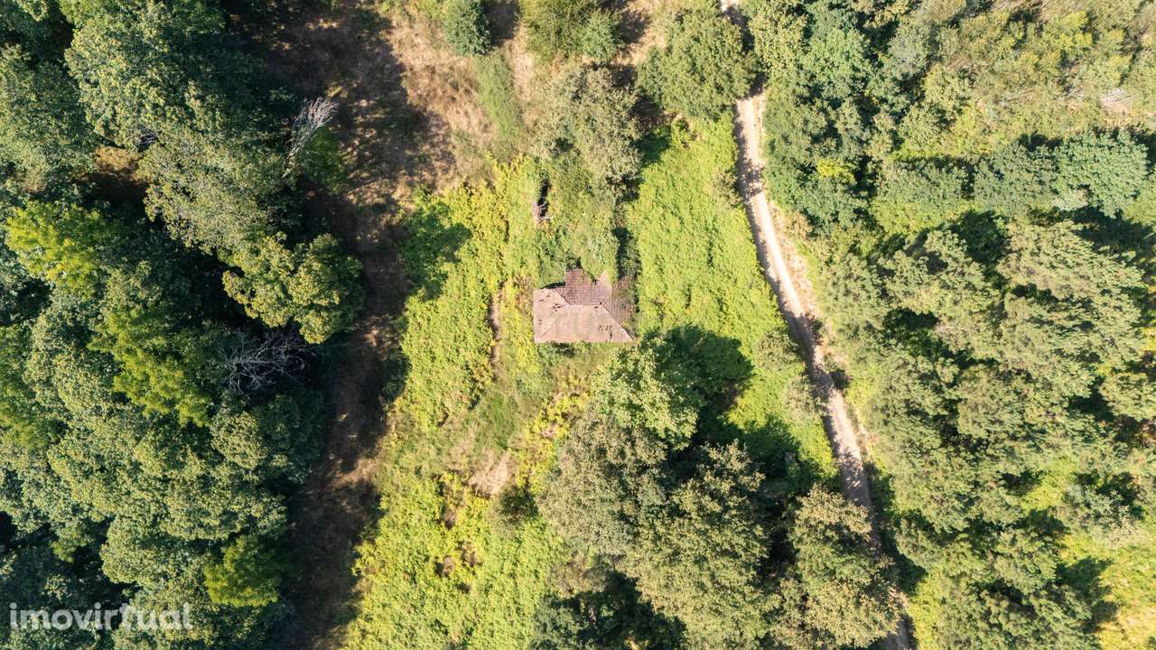 Moradia T3 para Reabilitar Terreno com 1,06 Ha  em Celorico de Basto - Grande imagem: 4/24