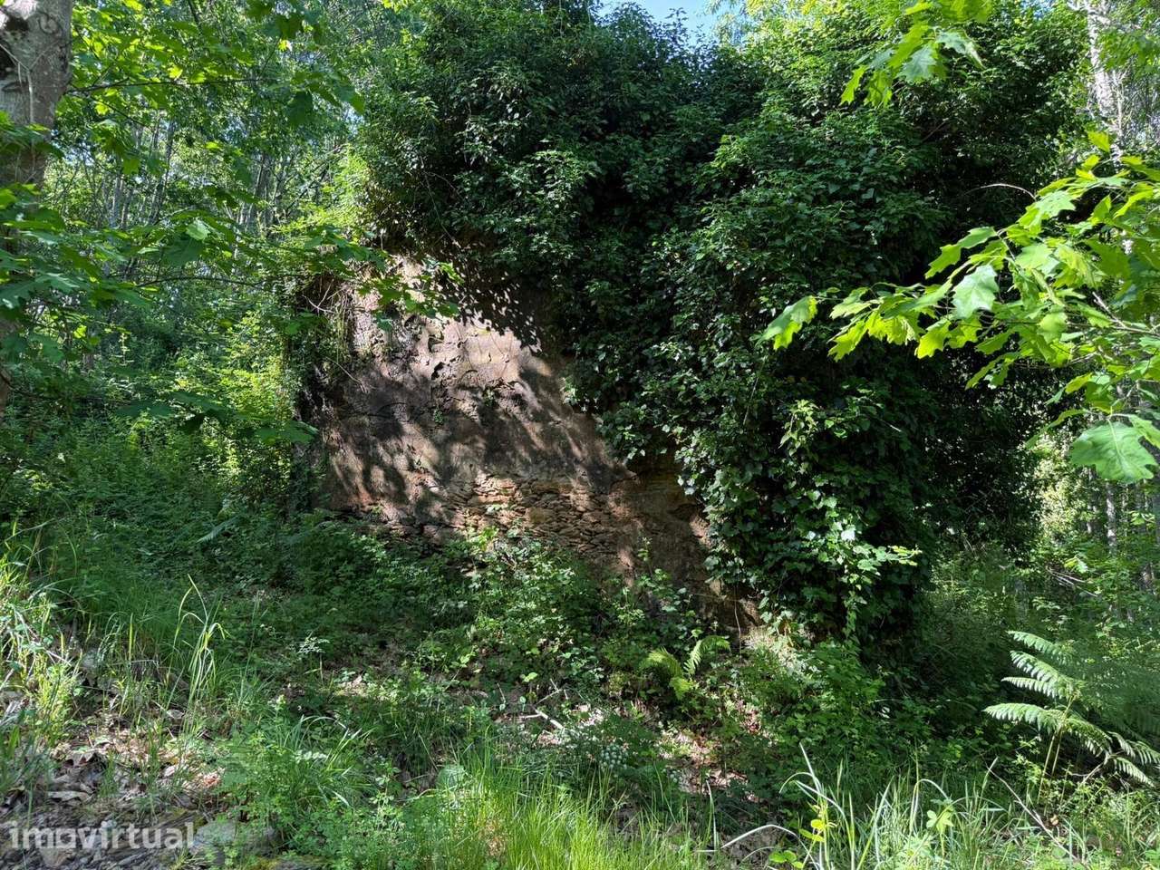 Propriedade mista com 53 hectares em Canedo, Santa Maria da Feira - Grande imagem: 4/7