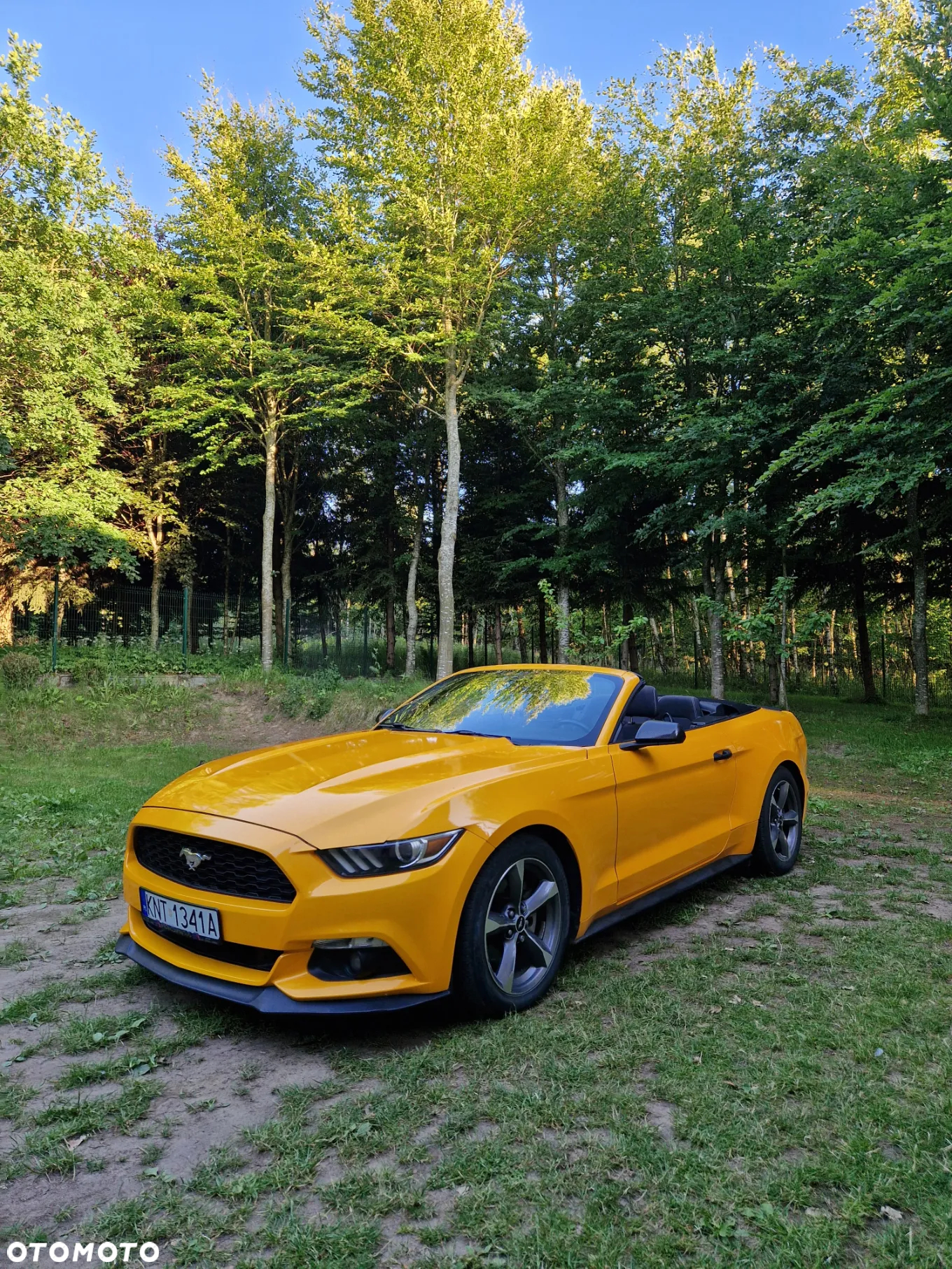 Ford Mustang 3.7 V6 - 7