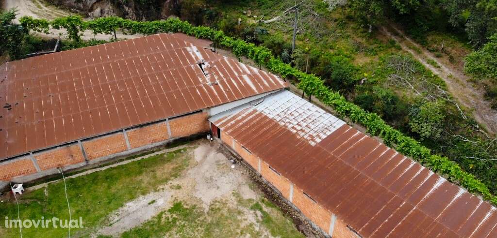 Terreno c/ Pavilhão Agrícola - Louredo - Grande imagem: 2/8