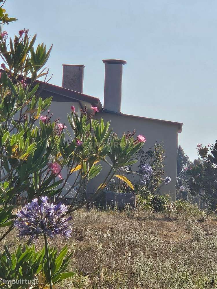 Fantástica moradia T3, com garagem, jardim e quintal - Grande imagem: 5/9