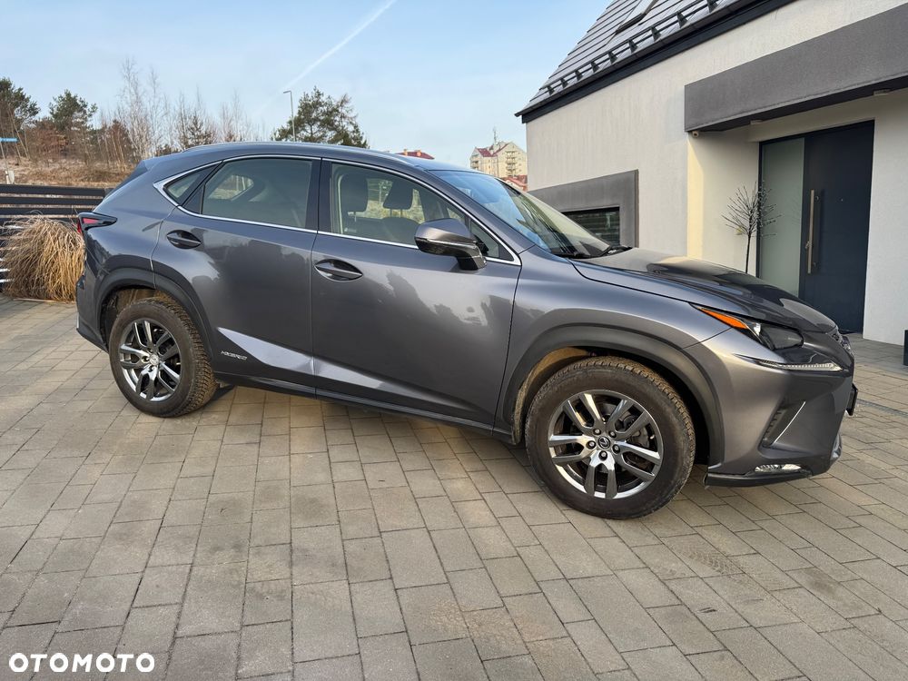 Lexus NX 300 Elegance Optimum AWD - 4