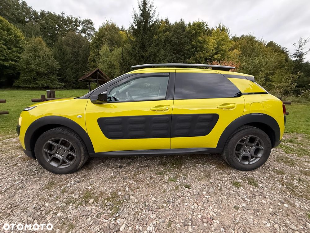 Citroën C4 Cactus 1.2 PureTech Shine - 12