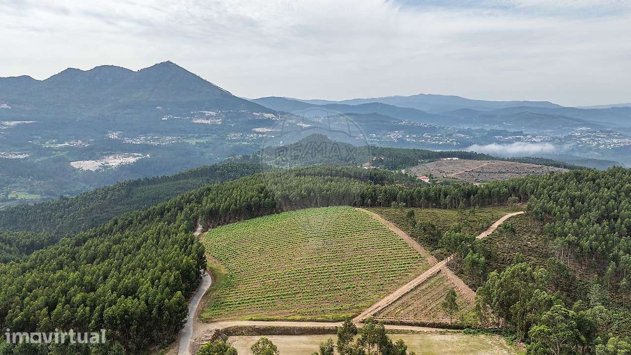 Terreno  para venda - Grande imagem: 2/16