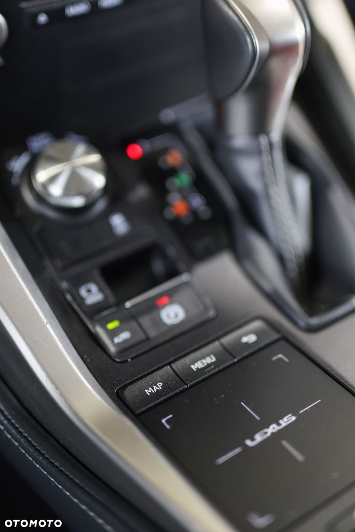 Lexus NX - 25