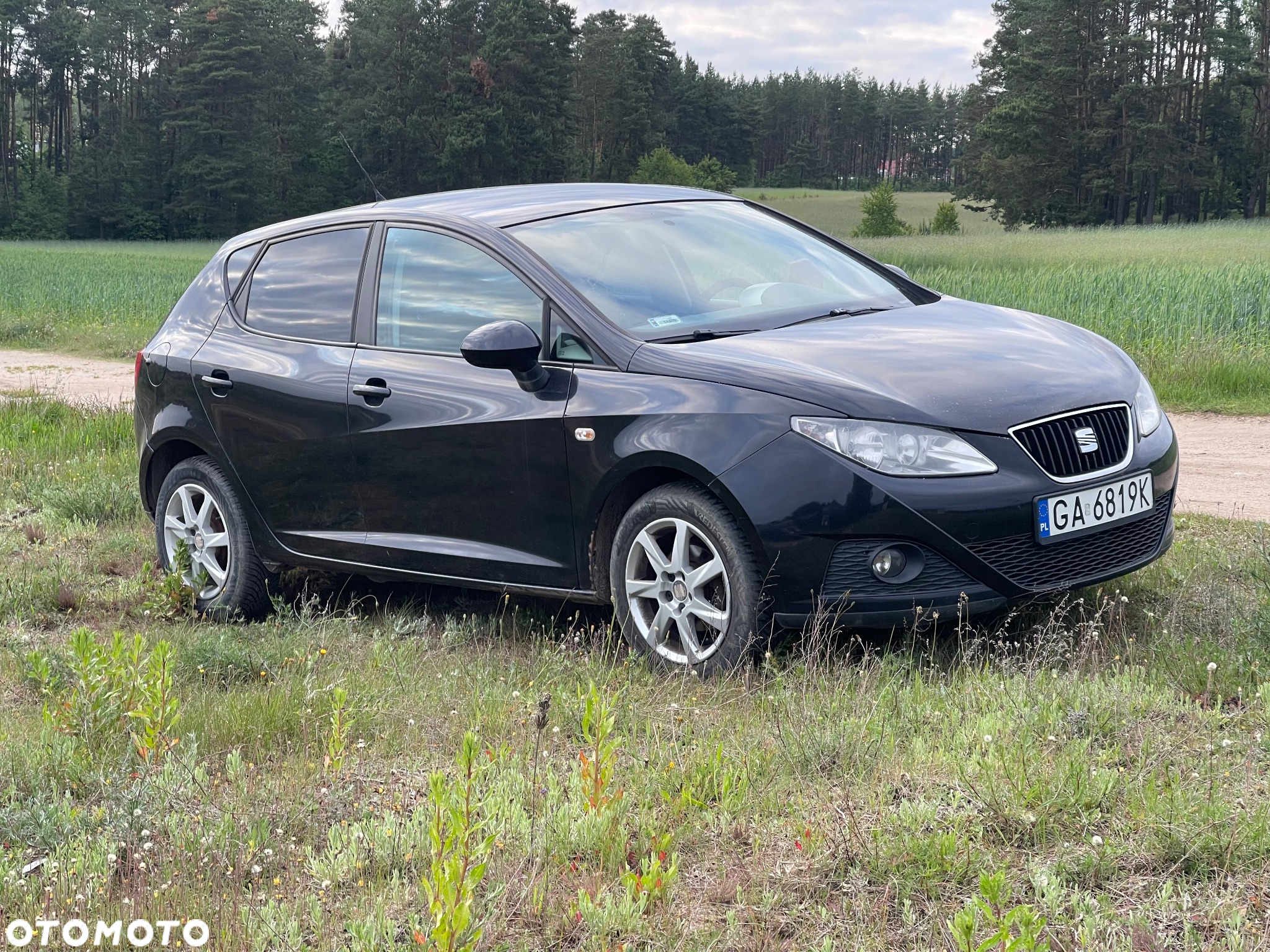 Seat Ibiza 1.4 16V Passion+ - 5