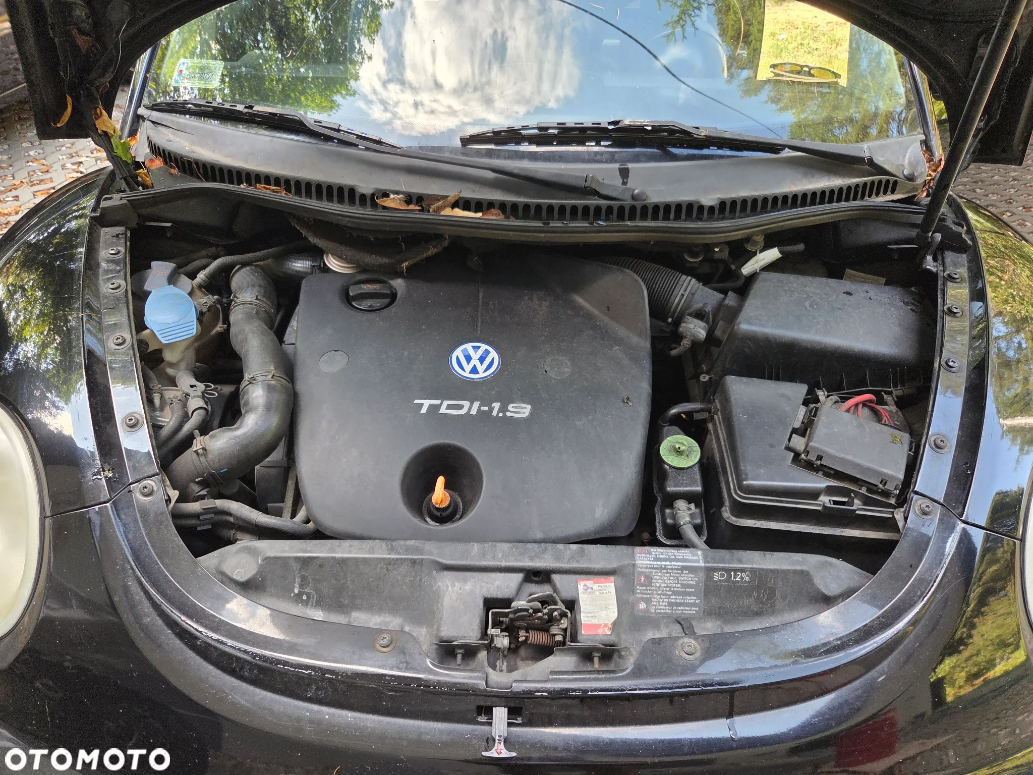 Volkswagen New Beetle - 30