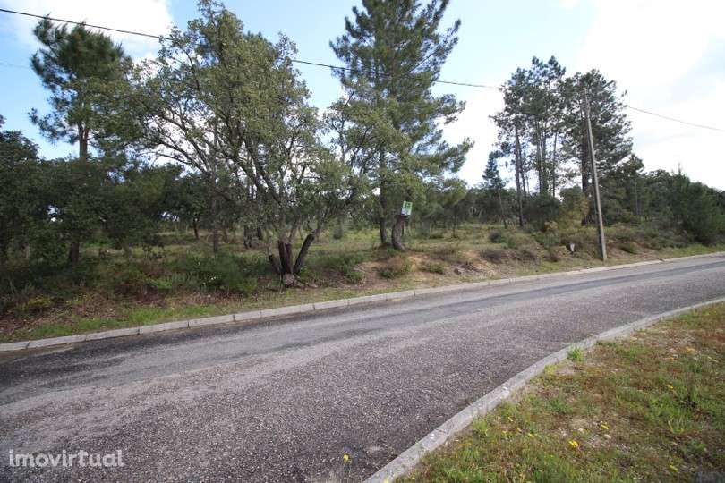 Terreno  Venda em Carregueira,Chamusca - Grande imagem: 4/5