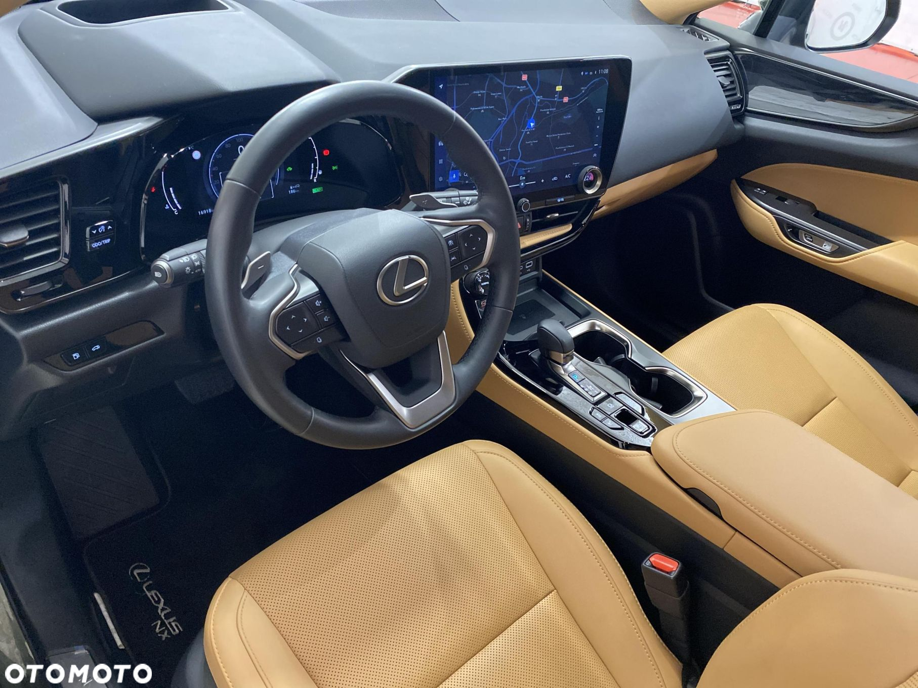 Lexus NX - 10