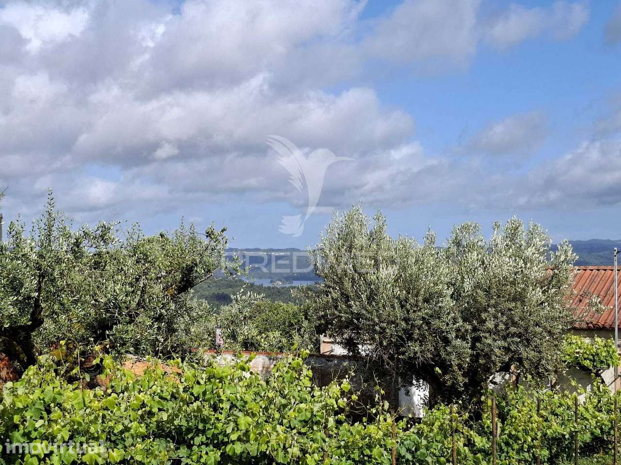 Casa de Campo para Recuperação com Vista para a Barragem de Castelo... - Grande imagem: 3/15