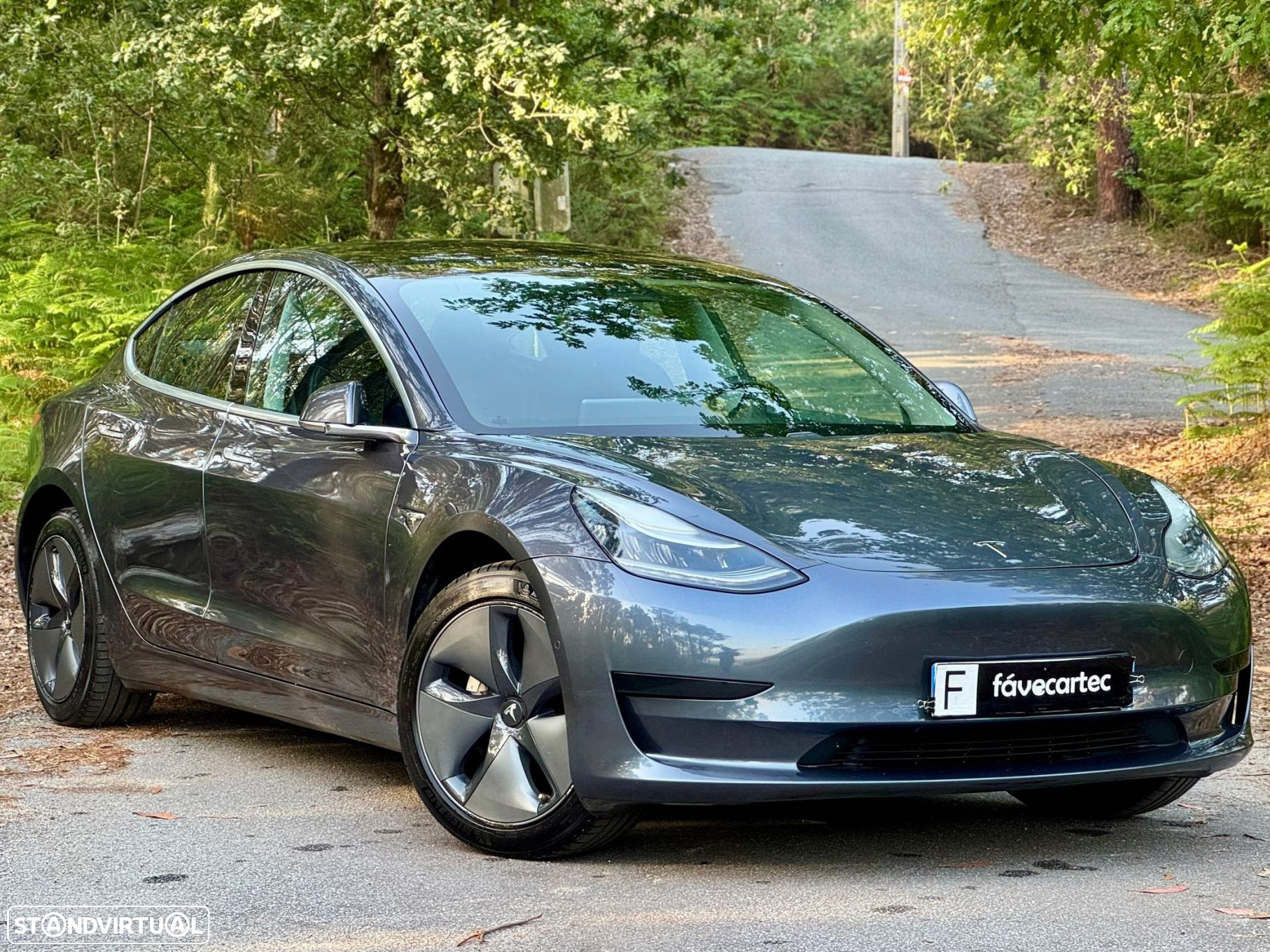 Tesla Model 3 Standard Range Plus RWD - 10