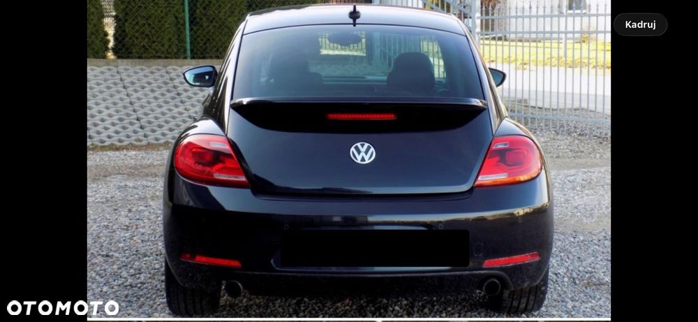Volkswagen Beetle - 7