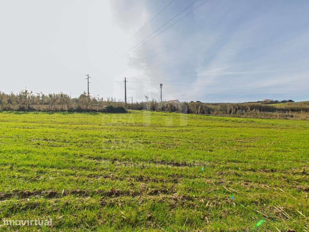 Vende Terreno - Ericeira 13 km, A Casa das Casas - Grande imagem: 4/11