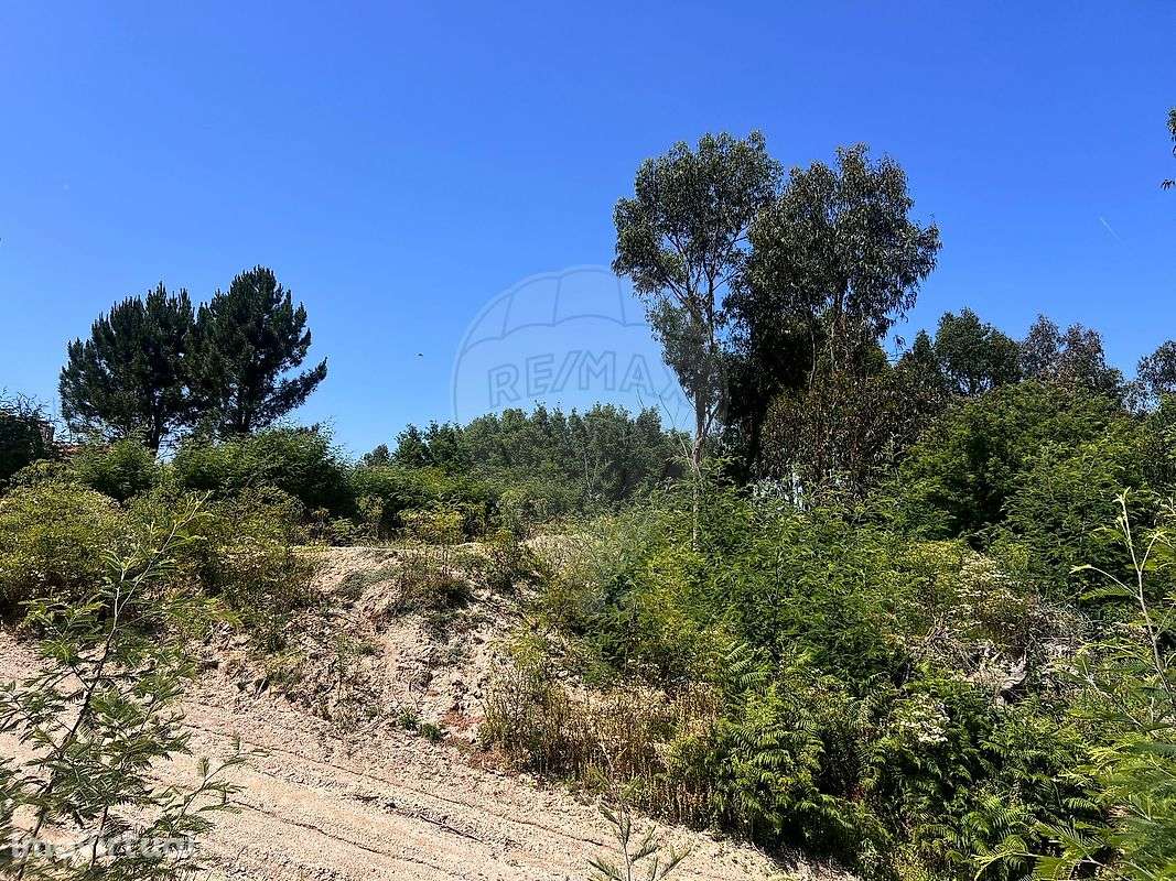 Terreno  para venda - Grande imagem: 2/8