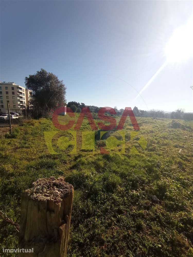 Lote de Terreno T4 Venda em Torres Novas (Santa Maria, Salvador e Sant - Grande imagem: 4/13