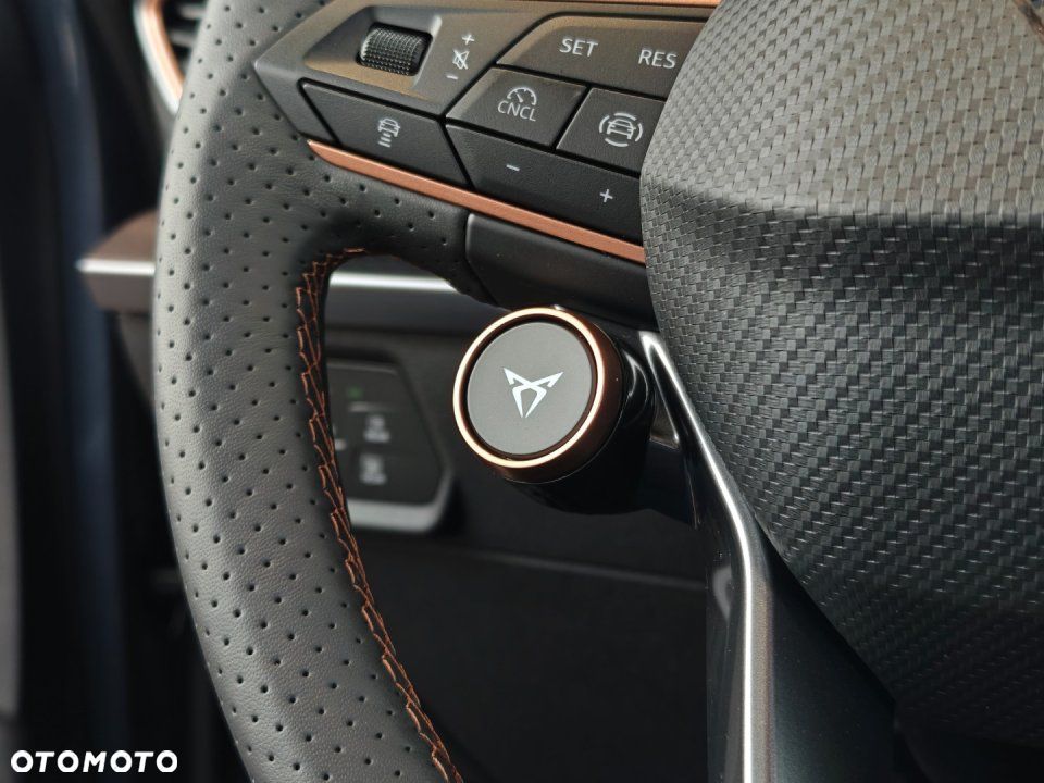 Cupra Formentor - 17