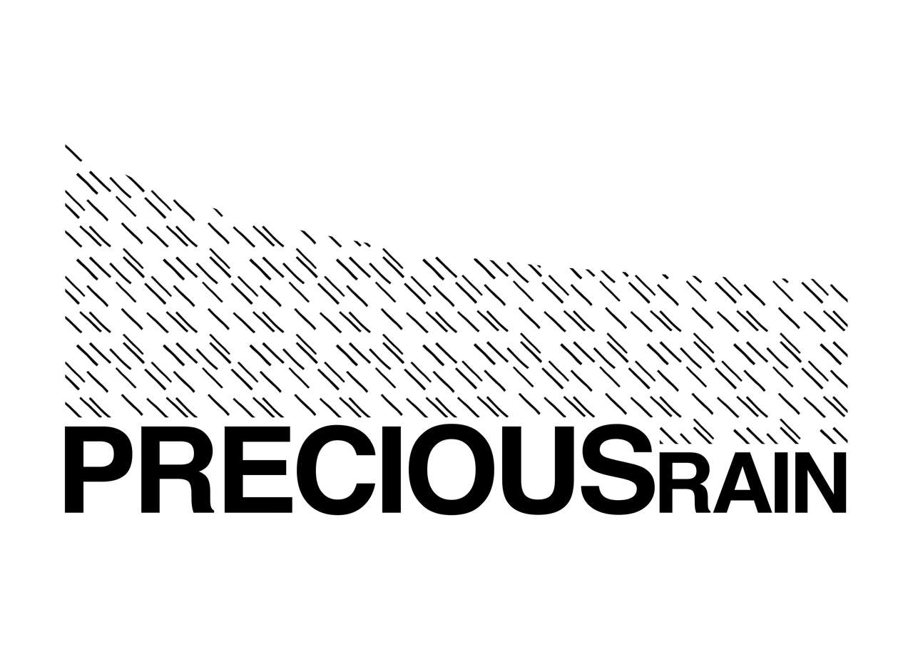 Logotipo: PreciousRain, Lda
