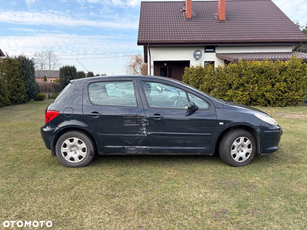 Peugeot 307 - 4