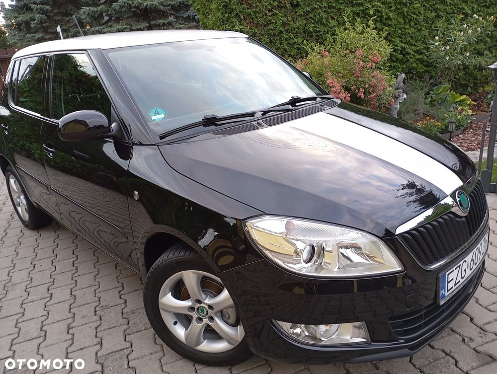 Skoda Fabia - 10