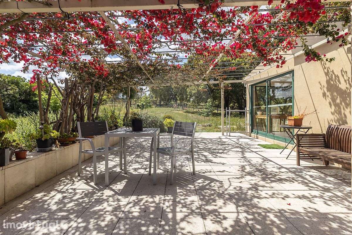 Quinta T4 para venda - Grande imagem: 2/44