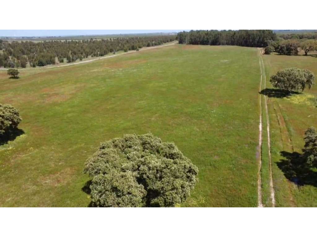 TERRENO DE 22,45 HA COM RUÍNA DE 240 M² PARA RECUPERAÇÃO EM FERREIR... - Grande imagem: 4/25