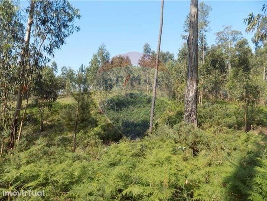 Terreno  para venda - Grande imagem: 2/3