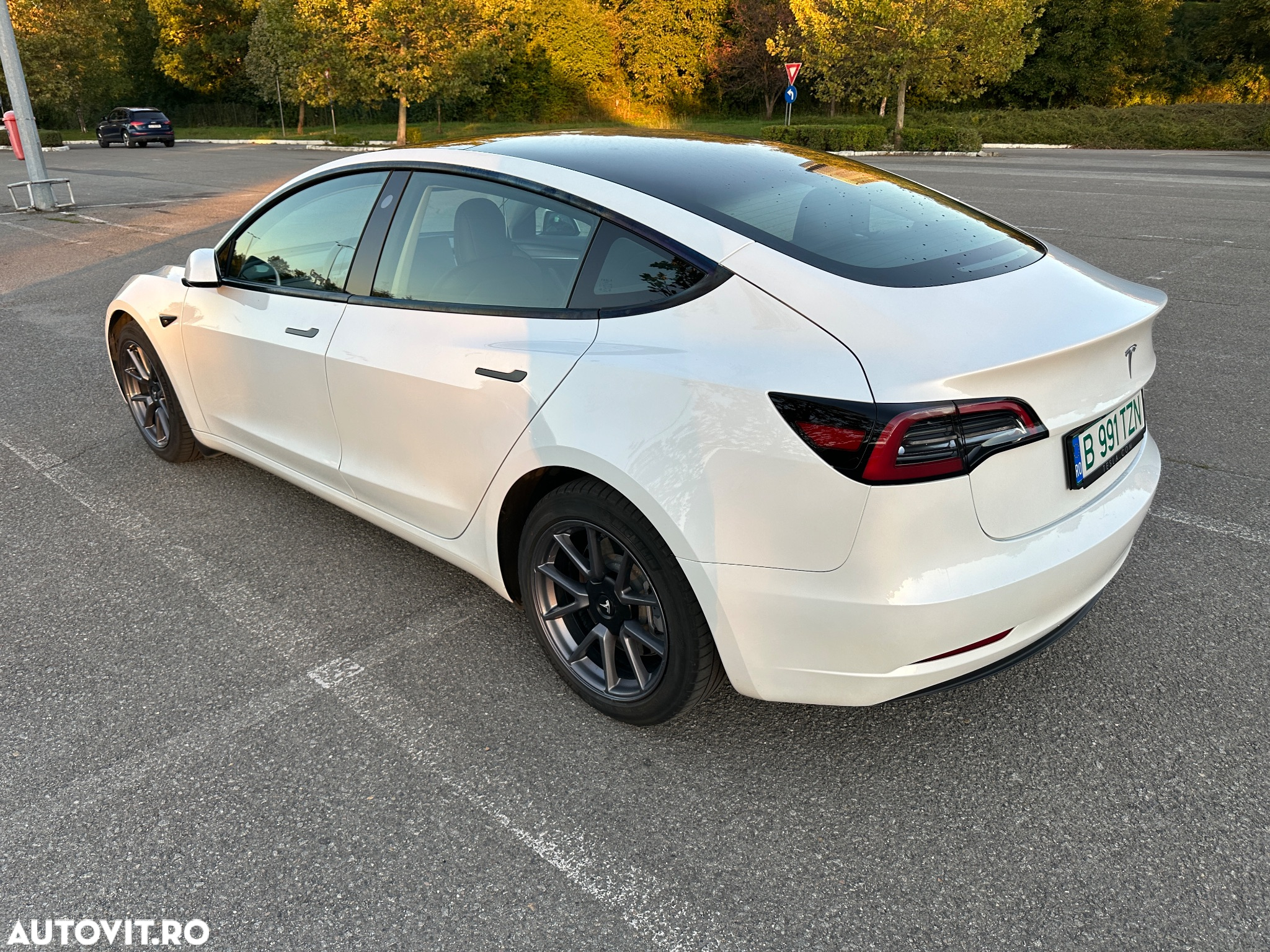 Tesla Model 3 RWD - 3