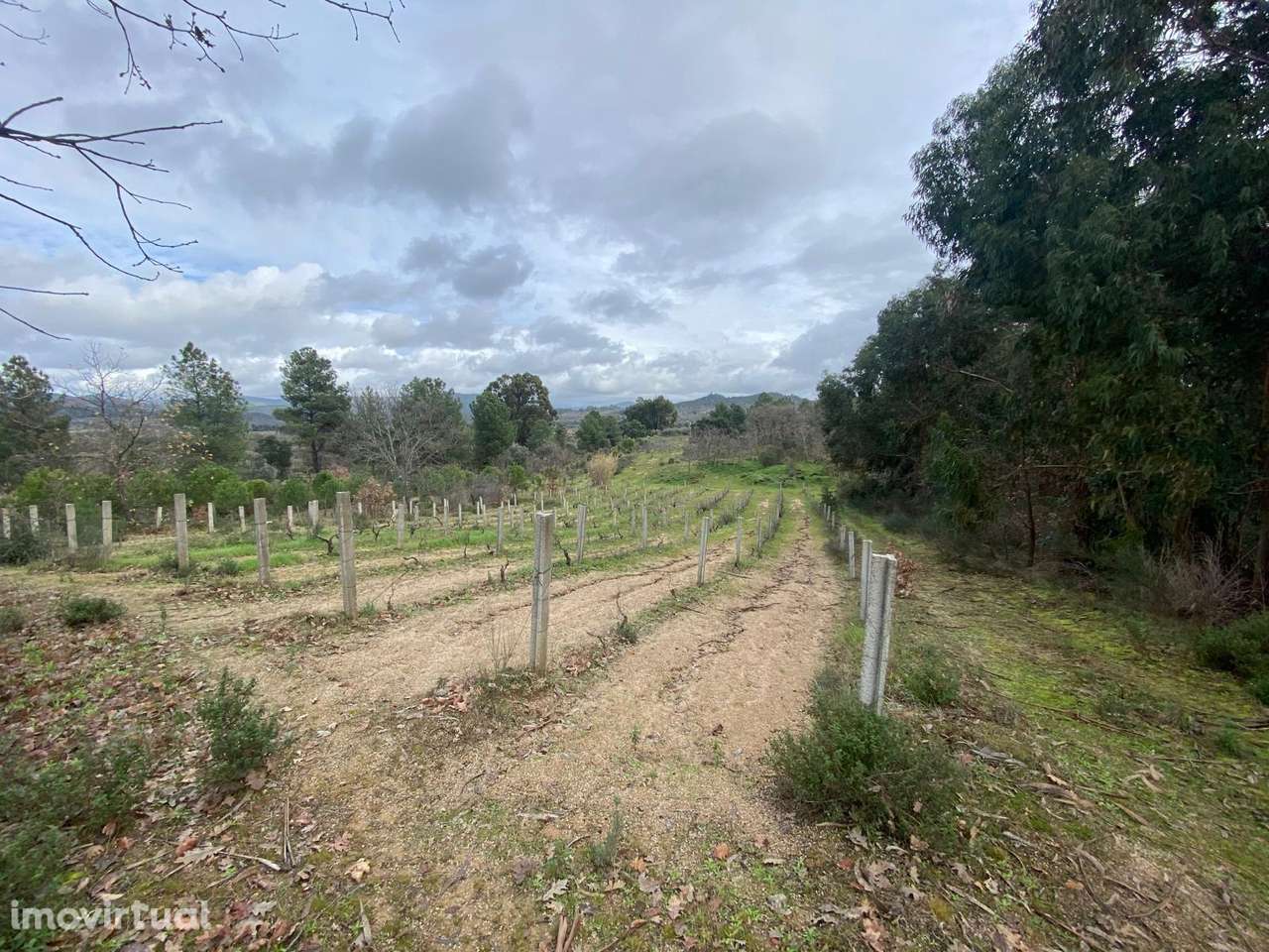 Quintinha - Grande imagem: 3/21