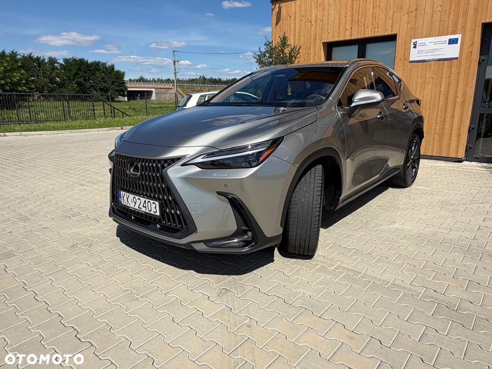 Lexus NX 350h Prestige AWD - 14