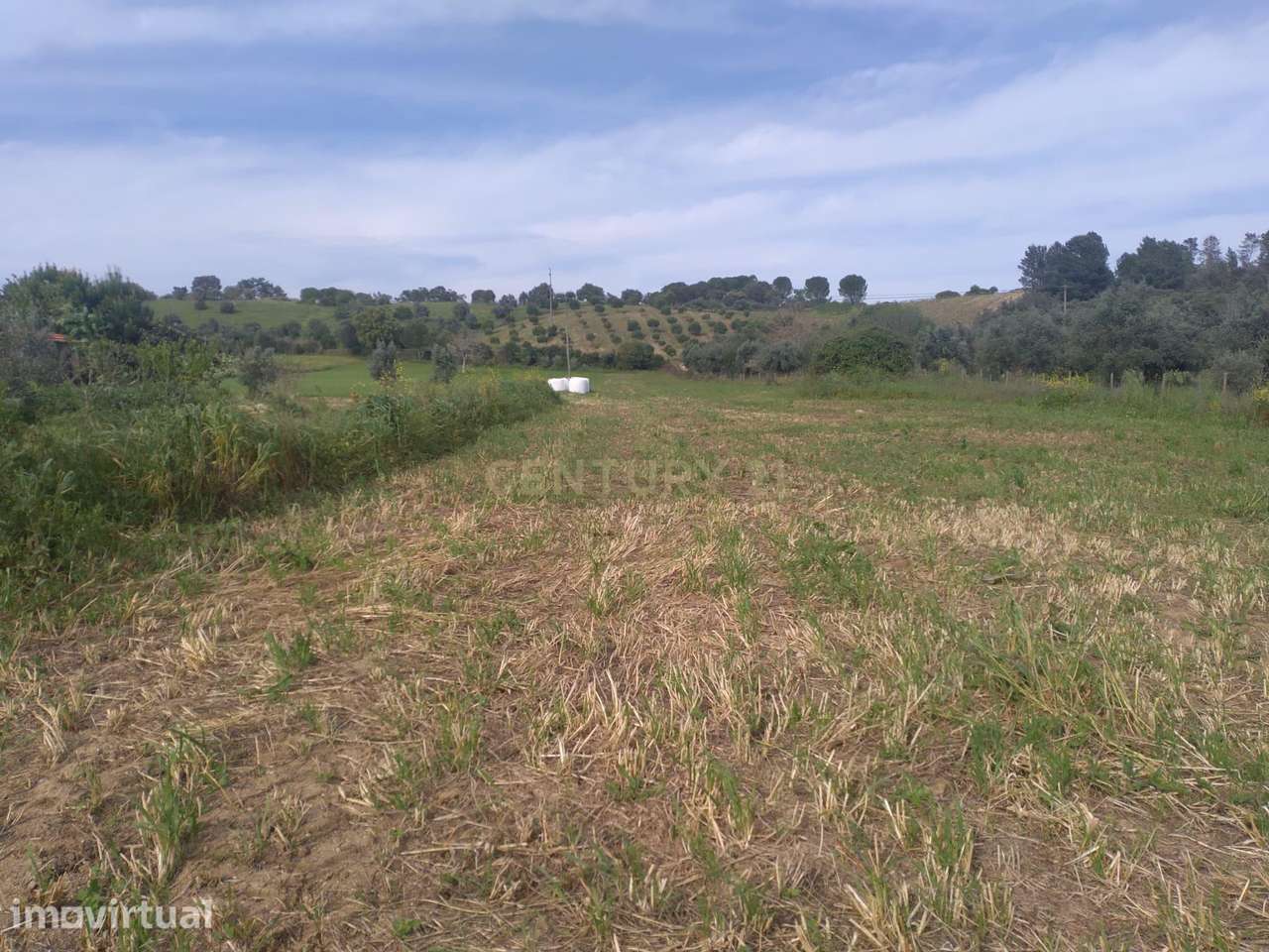 Terreno misto para construção - Grande imagem: 4/9
