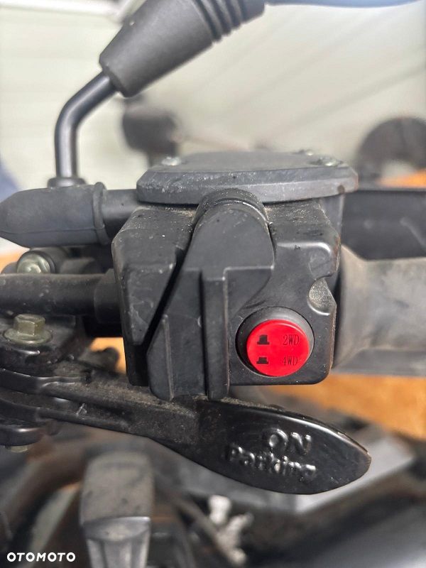 ODES Patchcross - 10