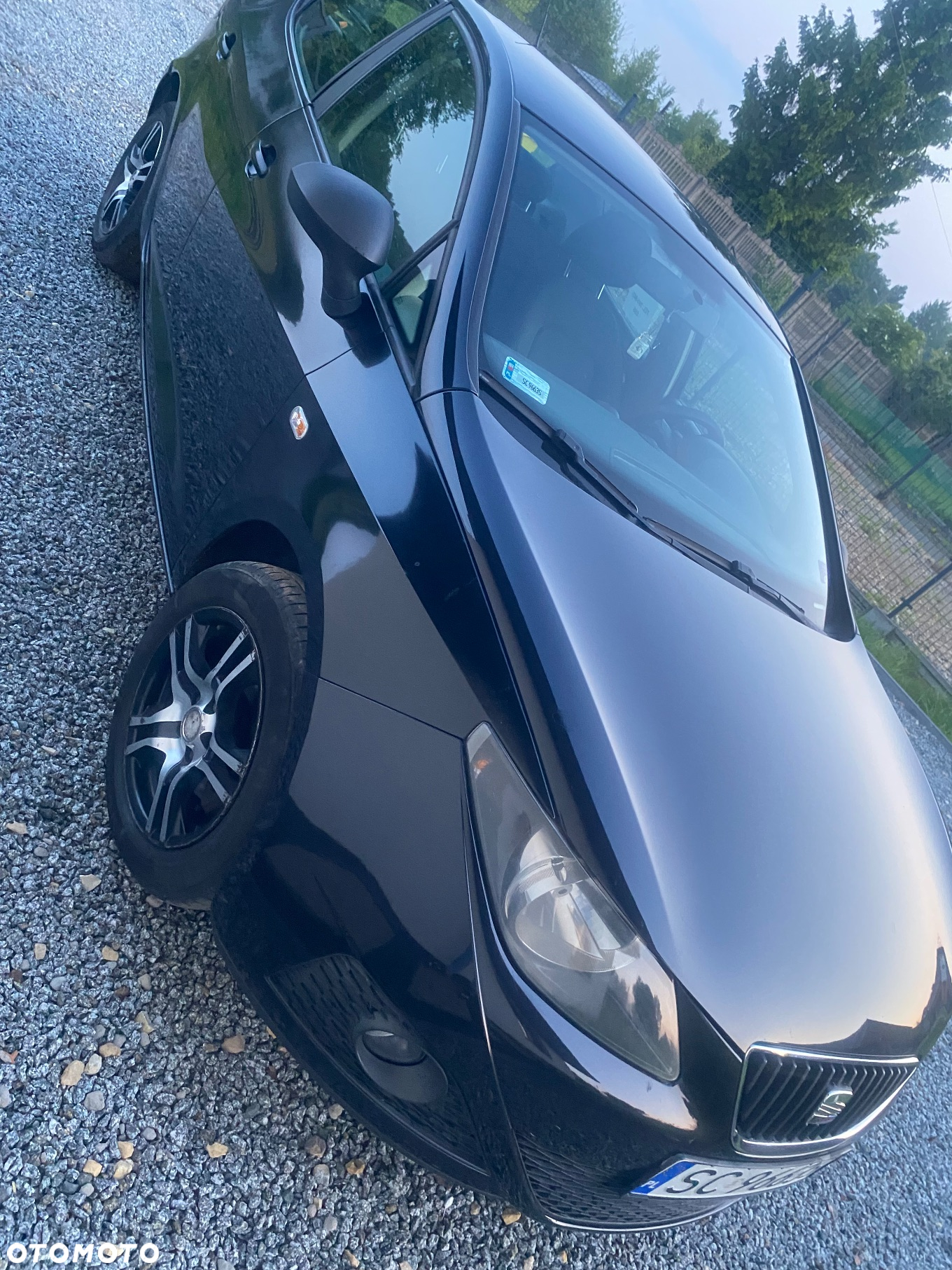Seat Ibiza - 2
