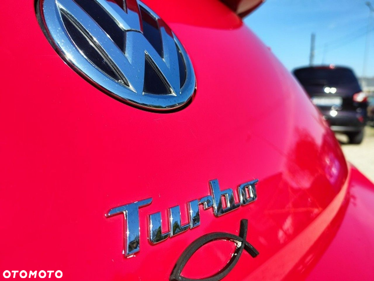 Volkswagen Beetle - 11