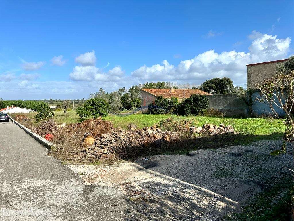 Terreno - Monte Real - Grande imagem: 3/12