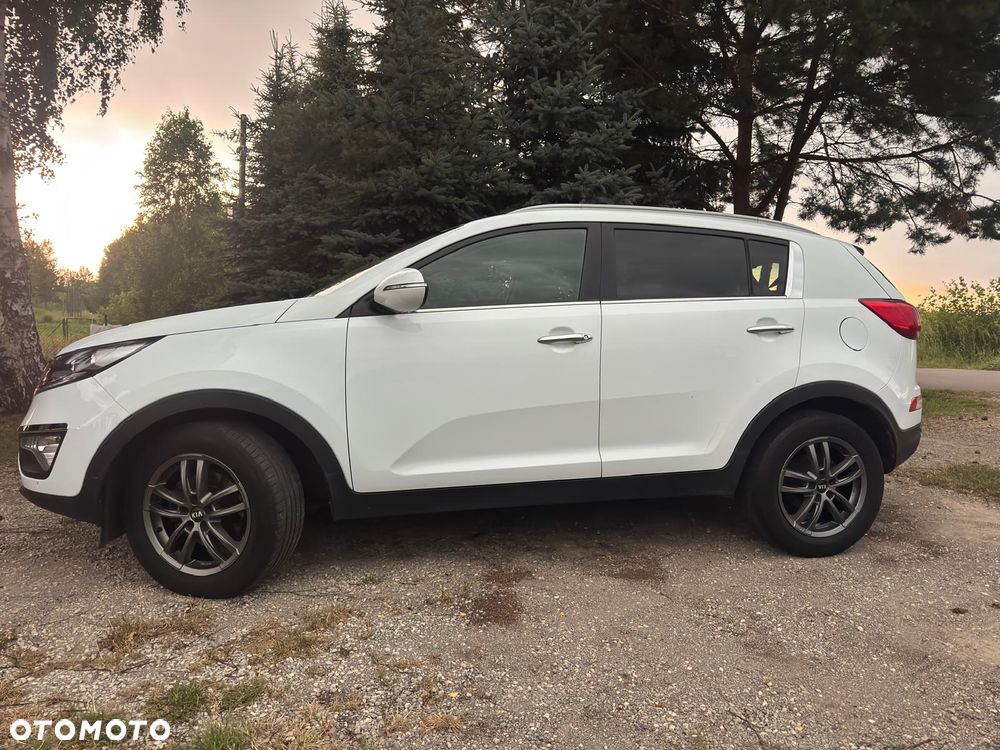 Kia Sportage - 18