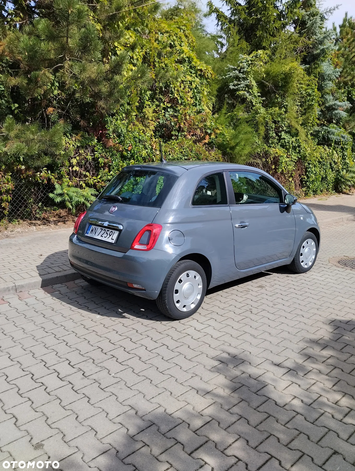 Fiat 500 - 5