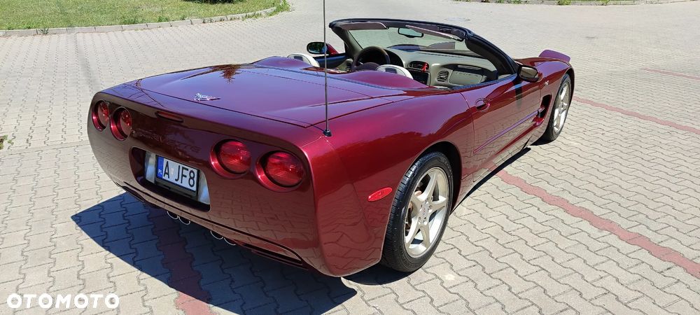 Chevrolet Corvette - 6