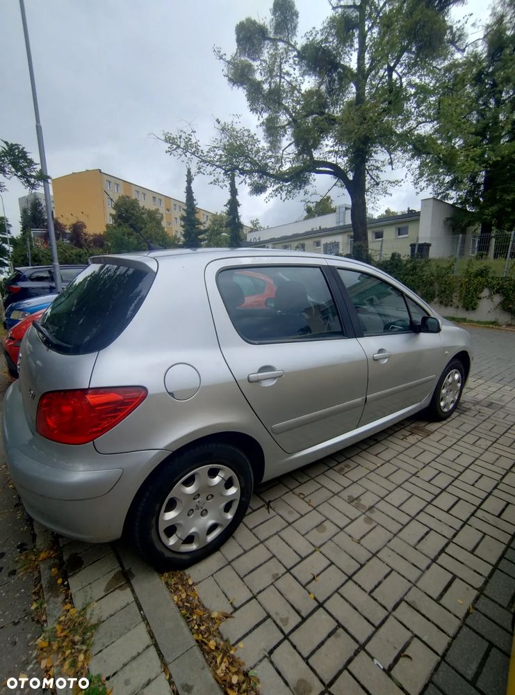 Peugeot 307 - 5