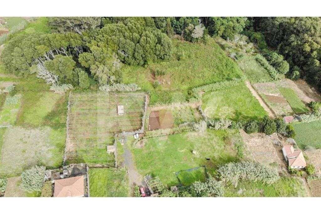TERRENO PARA CONSTRUÇÃO E ECO-TURISMO | SANTA - PORTO MONIZ - ILHA DA - Grande imagem: 2/11