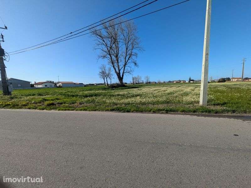 Terreno Rústico em Pardilhó - Grande imagem: 3/9