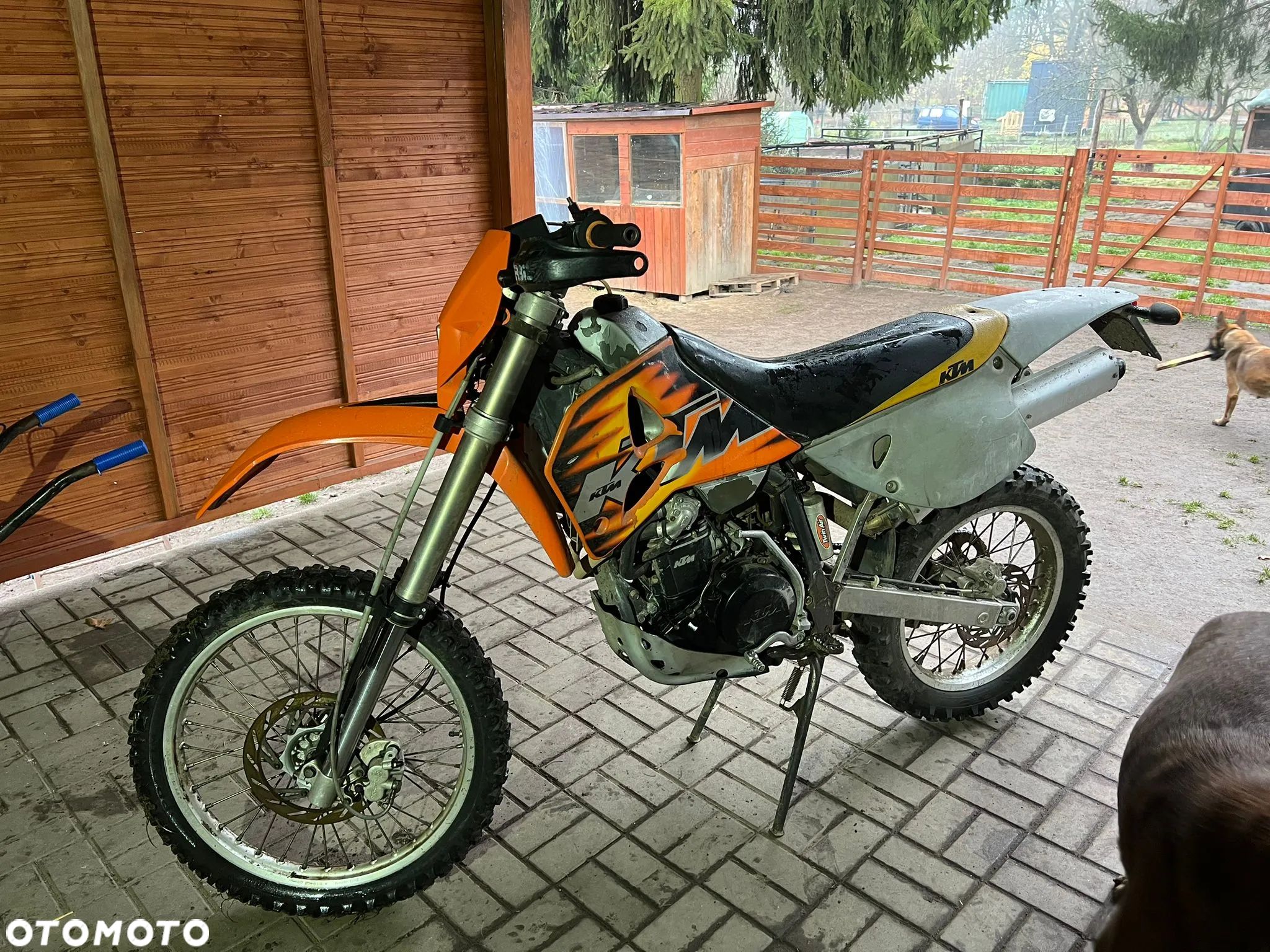 KTM SX