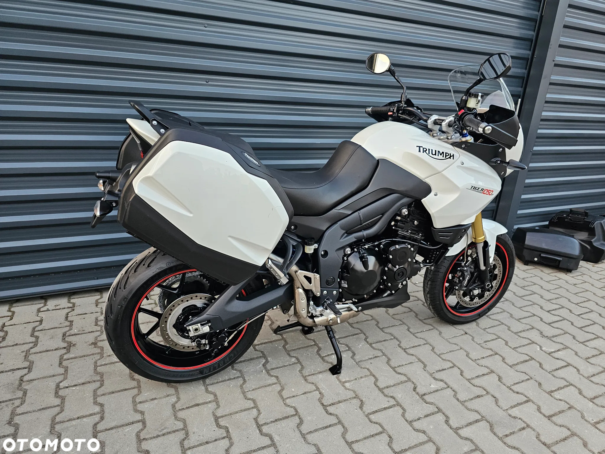 Triumph Tiger - 3