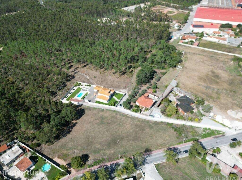Terreno em Juncal - Grande imagem: 5/9