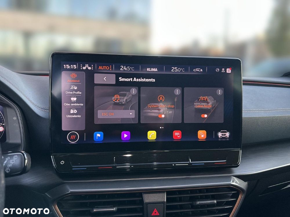 Cupra Formentor 2.0 TSI 4Drive DSG - 20