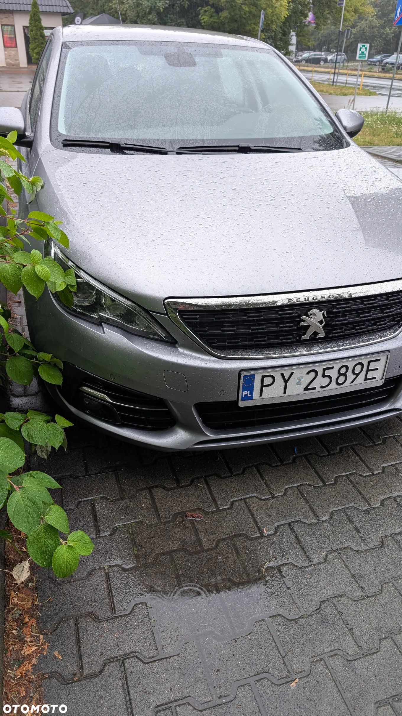 Peugeot 308 1.5 BlueHDi Business Line S&S - 1
