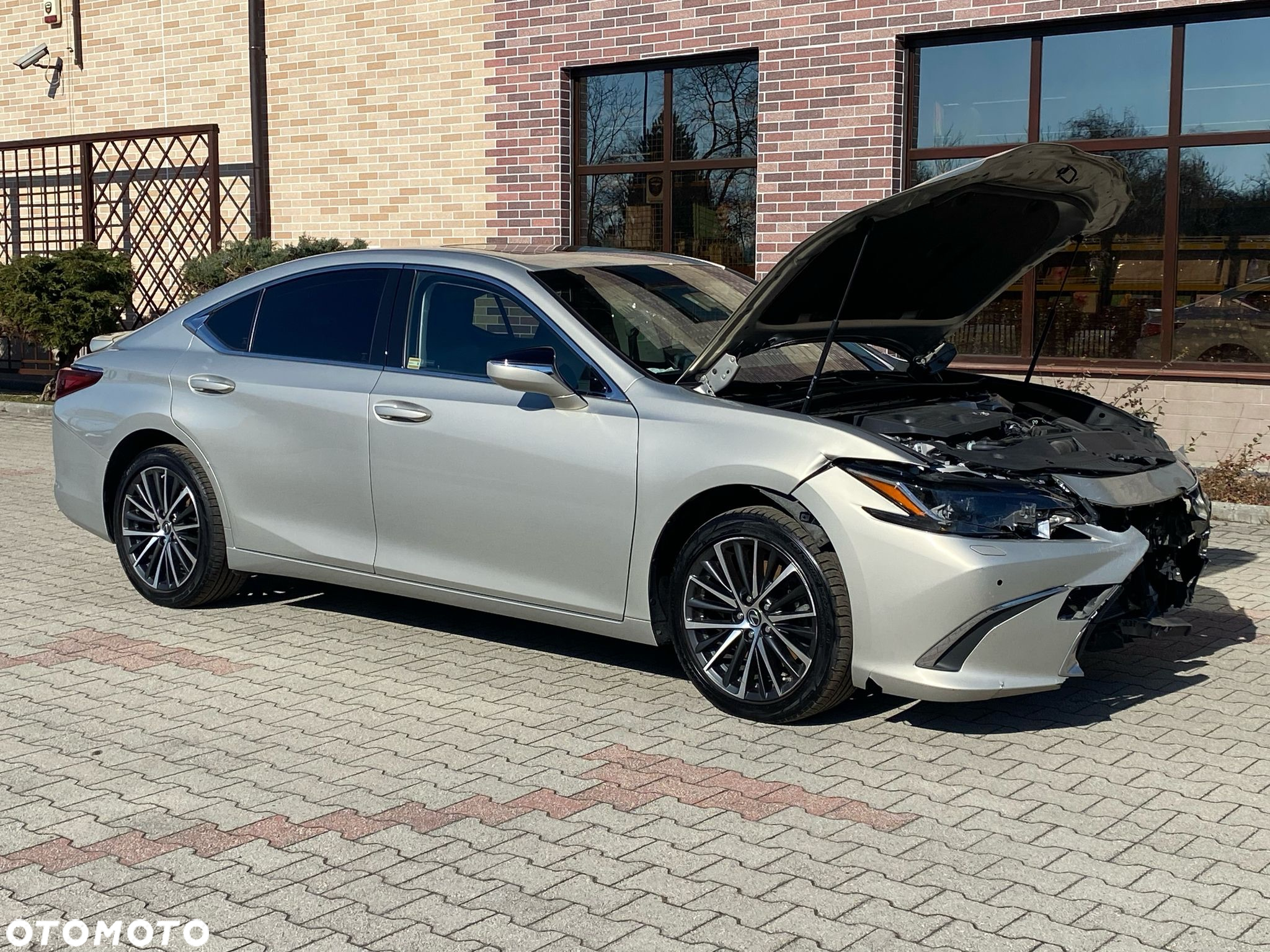Lexus ES 300h Elegance - 3