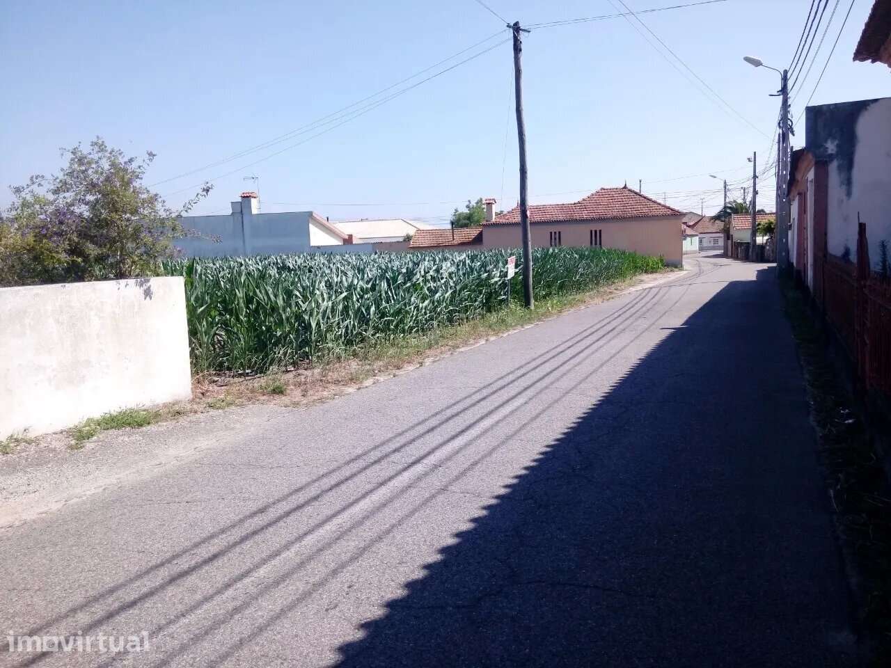 Terreno com viabilidade construtiva em Estarreja - Grande imagem: 2/7