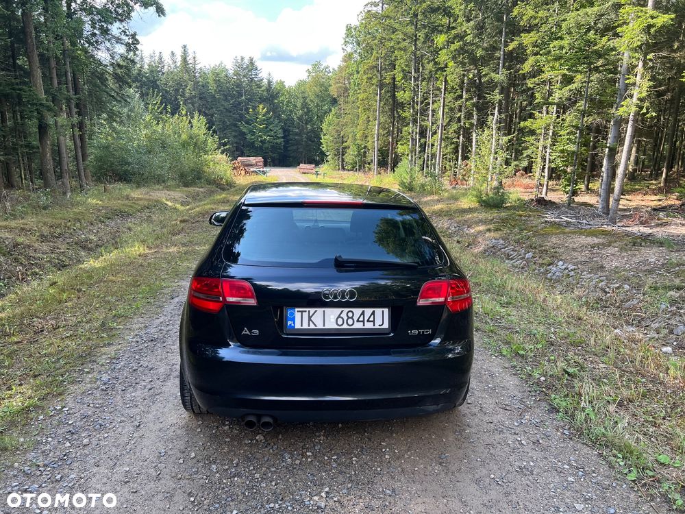 Audi A3 Sportback 1.9 TDI DPF Attraction - 6