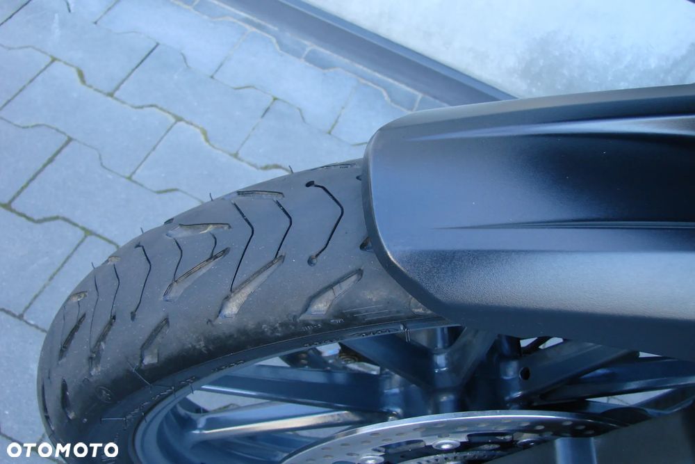 Triumph Tiger - 20