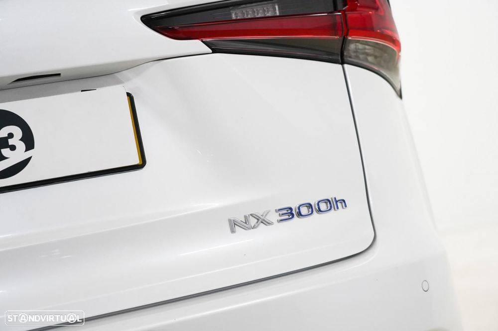 Lexus NX 300h Executive+ - 18